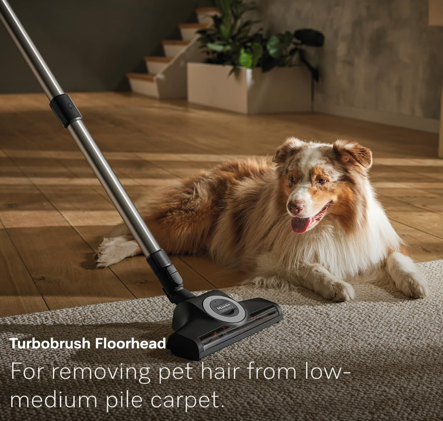 Guard L1 Cat & Dog Canister Vacuum with Odor-Reducing Filter