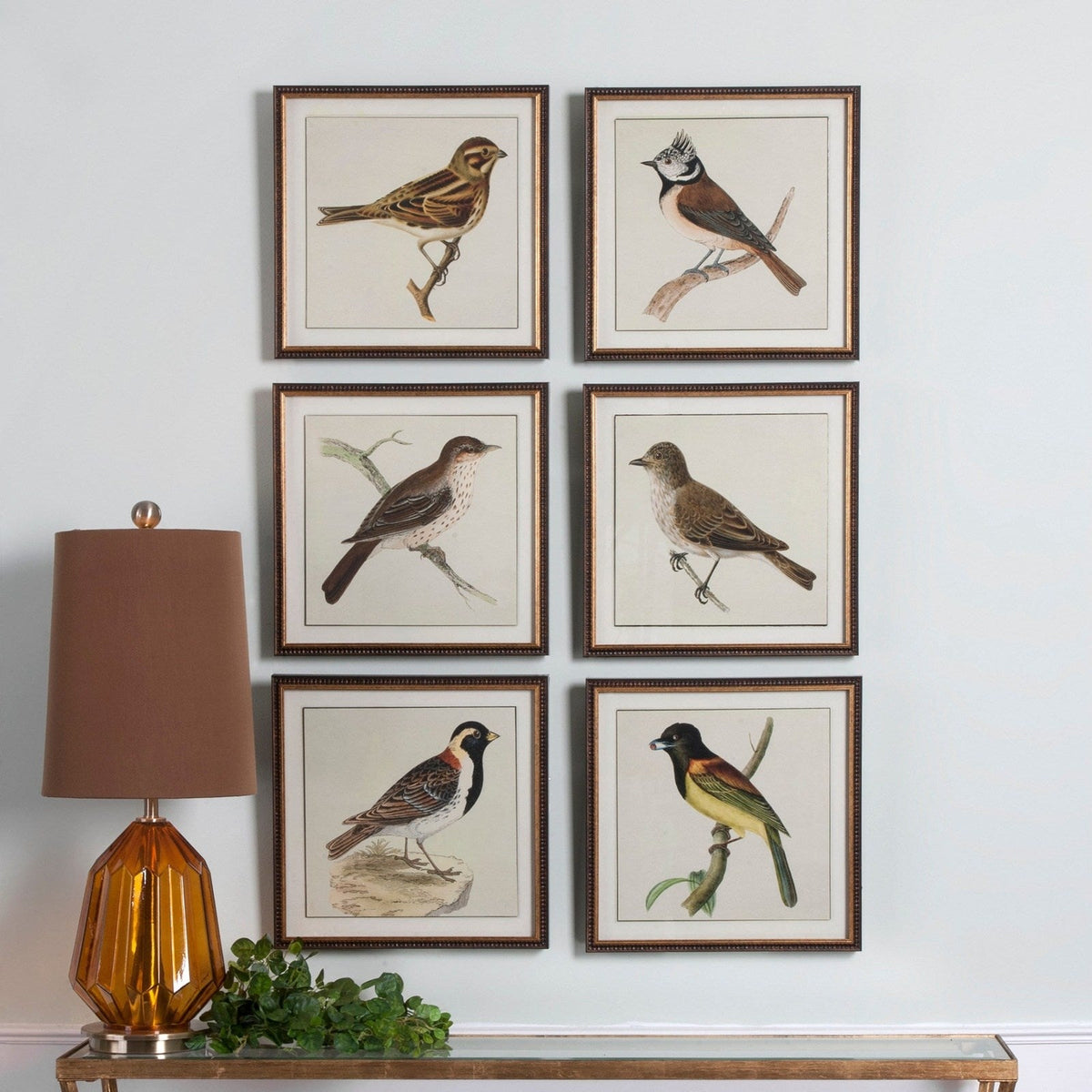 Uttermost Spring Soldiers Bird Prints, S/6 33627
