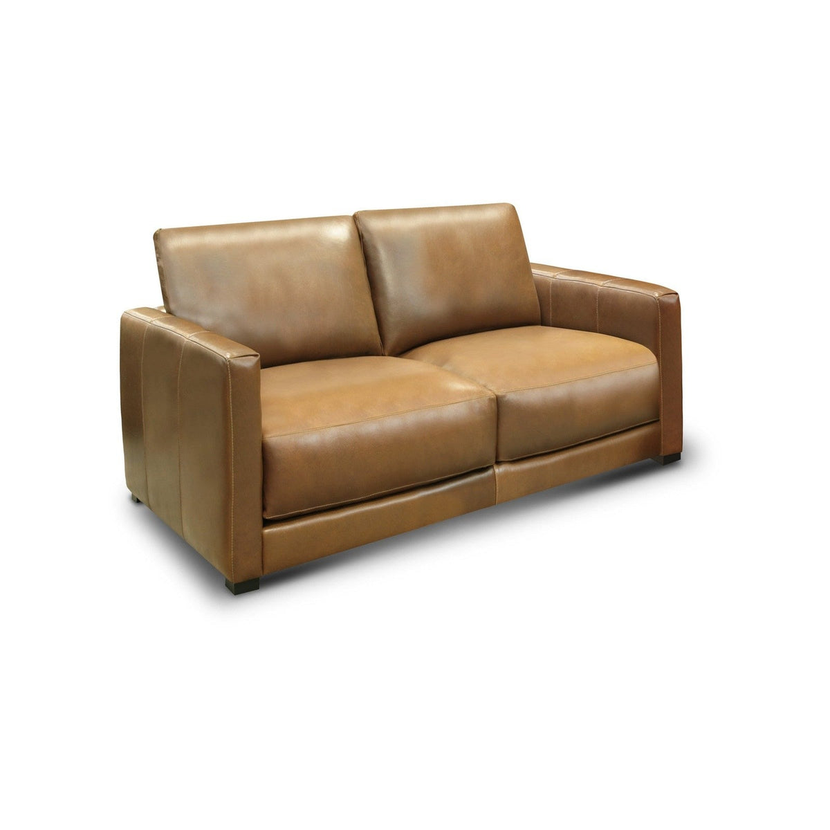 GTR Raffa 100% Top Grain Leather Contemporary Loveseat Sofa