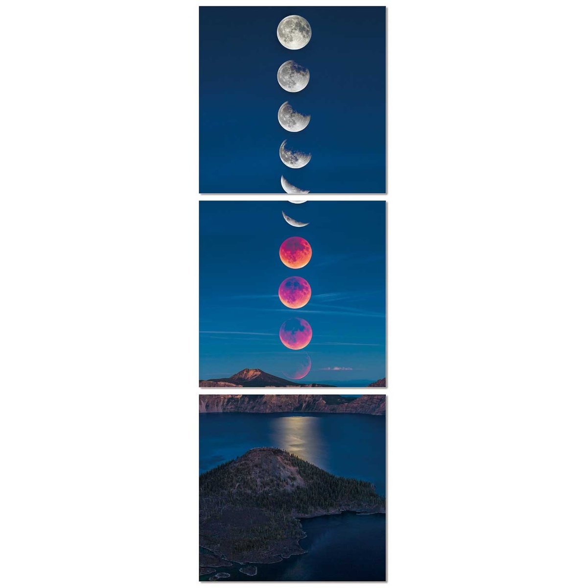 Whiteline Modern Living Eclipse Artwork